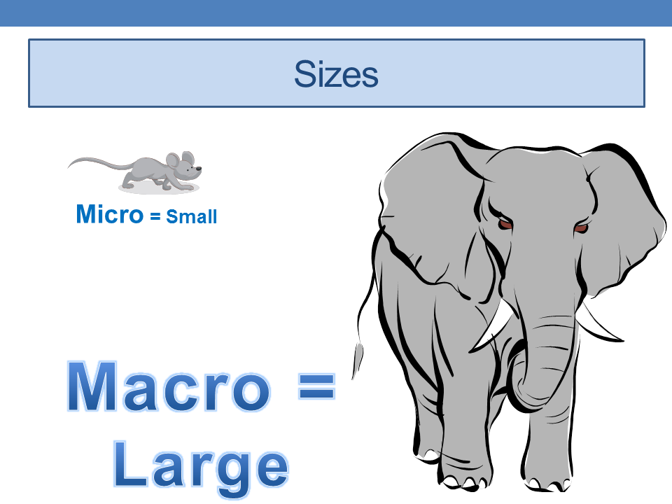 Slide12.PNG