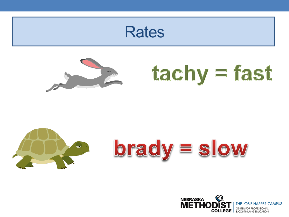 Slide14.PNG