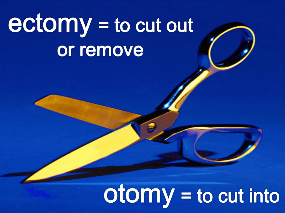 Slide17.PNG