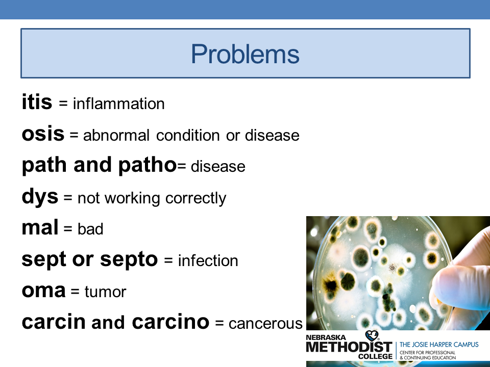 Slide19.PNG