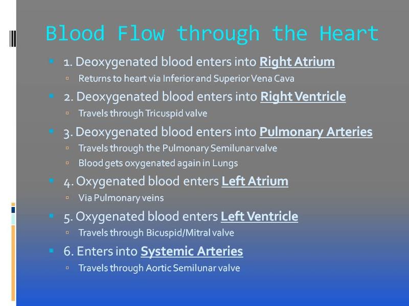 Blood Flow through the Heart