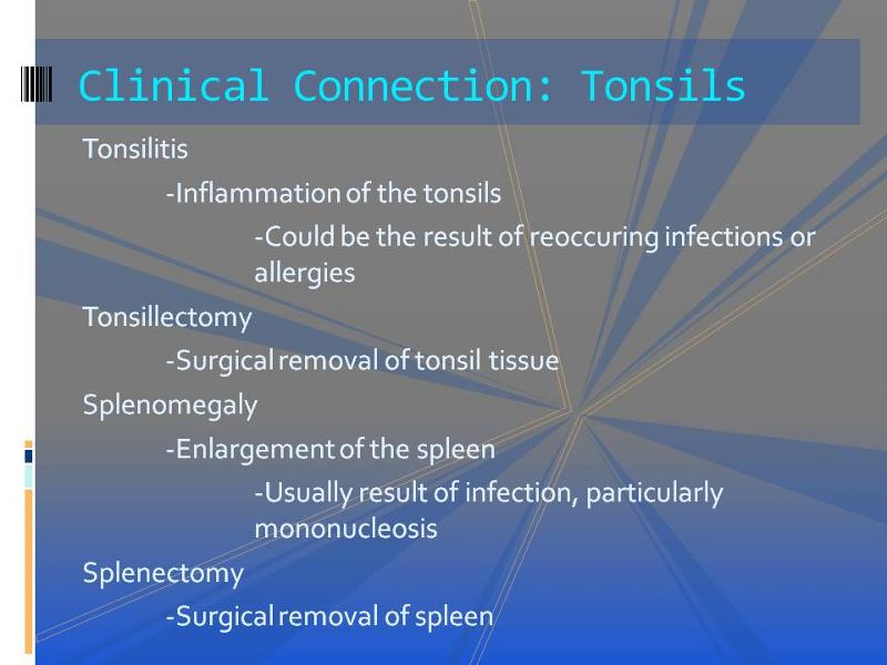 Clinical Connection: Tonsils