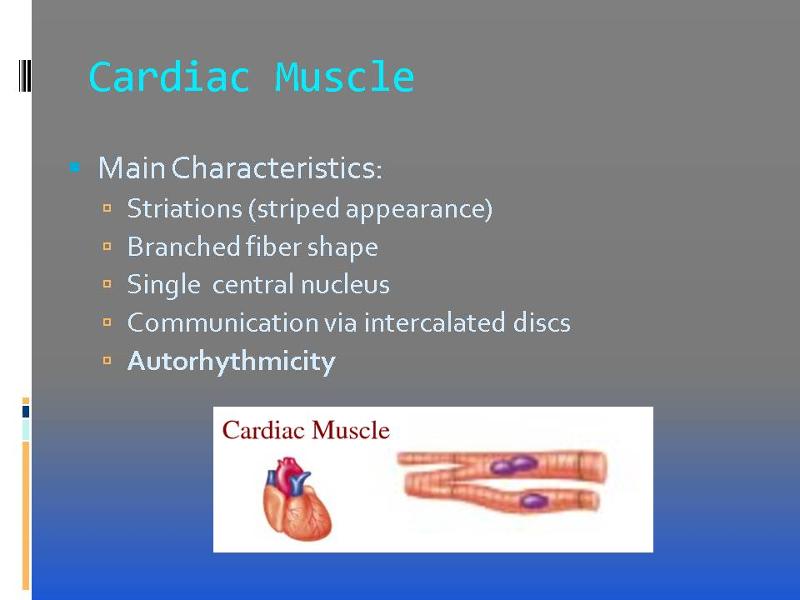 Cardiac Muscle