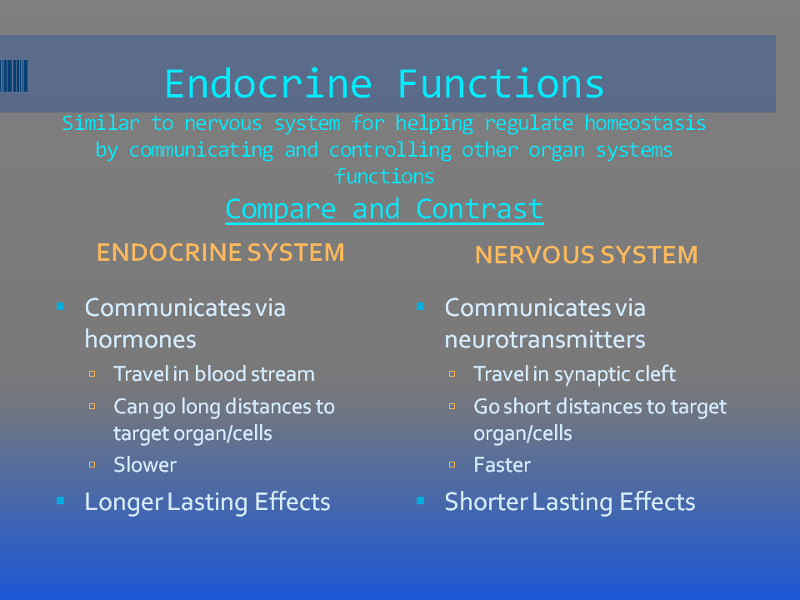 Endocrine vs. Nervous System